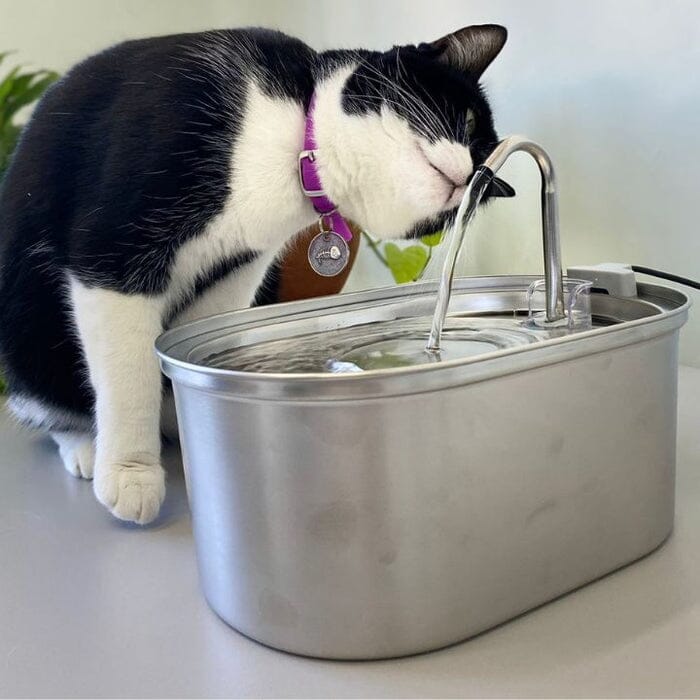 Bebedouro Inox Flow Artificio Lar