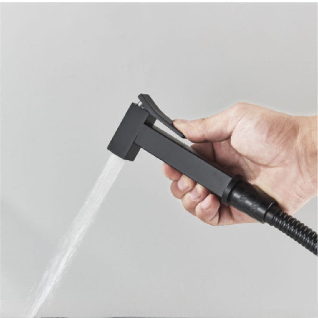 Ducha Higiênica Black Torneira Online