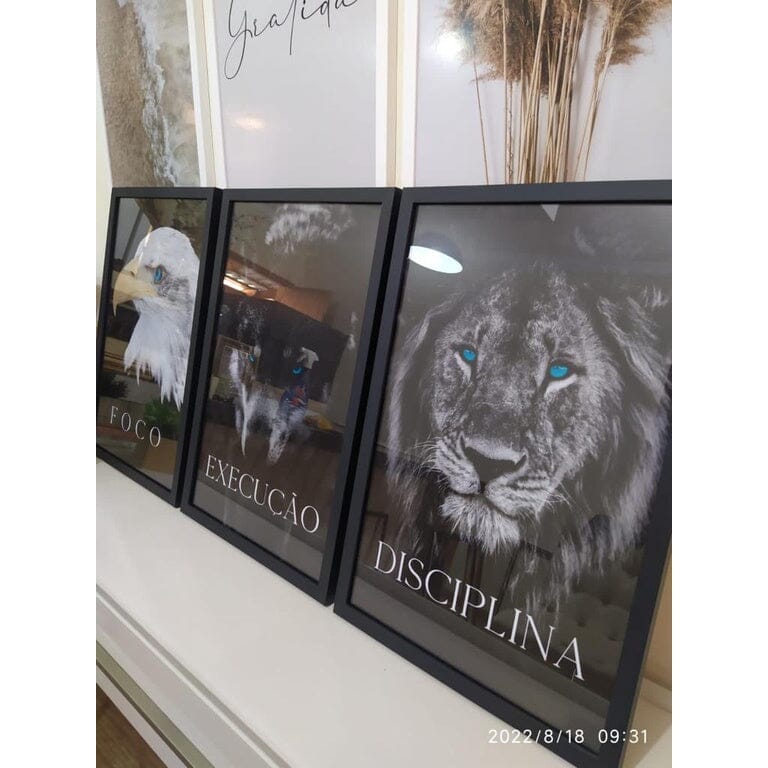 Kit 3 Quadros Decorativos Leão Animais Motivacional Moderno Para Sala Quarto Com Moldura e Vidro Quadros Artificio Lar