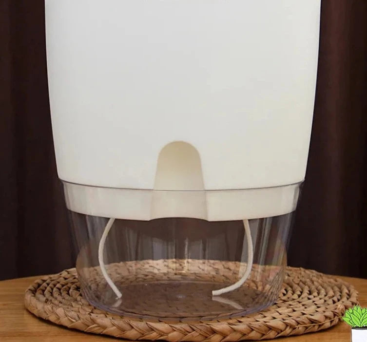 Vaso Brota Decor Auto Sustentável (COMPRE 1 LEVE 2 HOJE) Vaso Artificio Lar