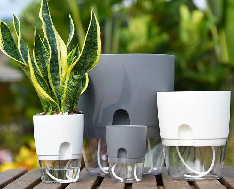 Vaso Brota Decor Auto Sustentável (COMPRE 1 LEVE 2 HOJE) Vaso Artificio Lar