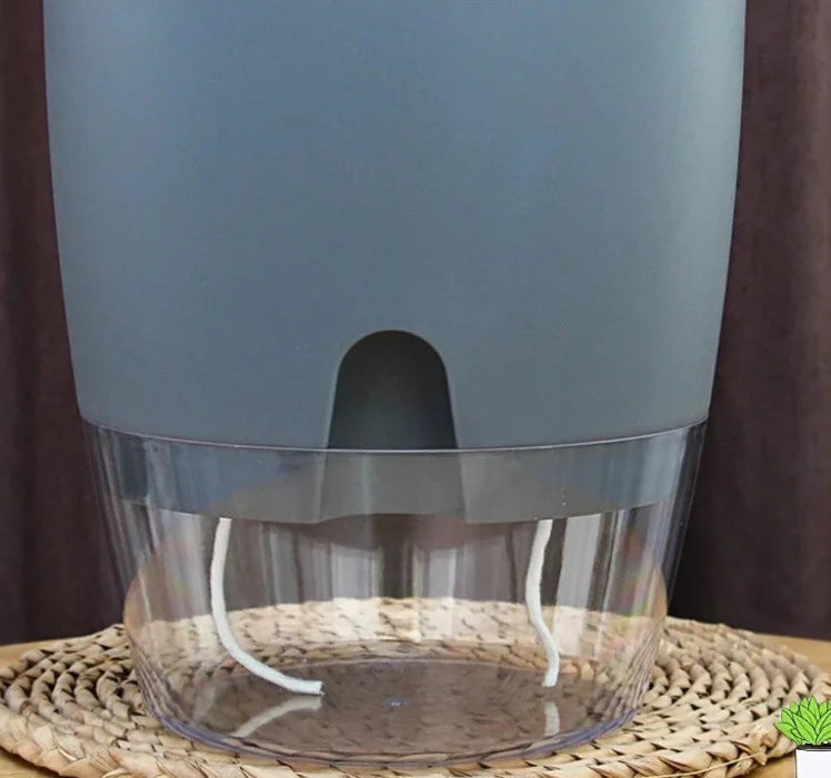 Vaso Brota Decor Auto Sustentável (COMPRE 1 LEVE 2 HOJE) Vaso Artificio Lar