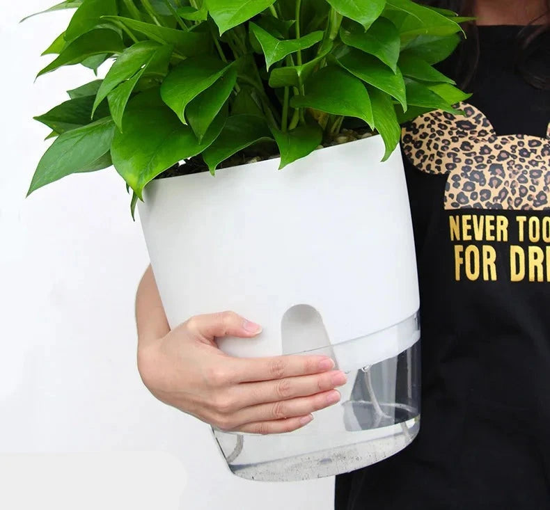 Vaso Brota Decor Auto Sustentável (COMPRE 1 LEVE 2 HOJE) Vaso Artificio Lar