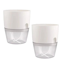 Vaso Brota Decor Auto Sustentável (COMPRE 1 LEVE 2 HOJE) Vaso Artificio Lar BRANCO (COMPRE 1 LEVE 2) G Grande 